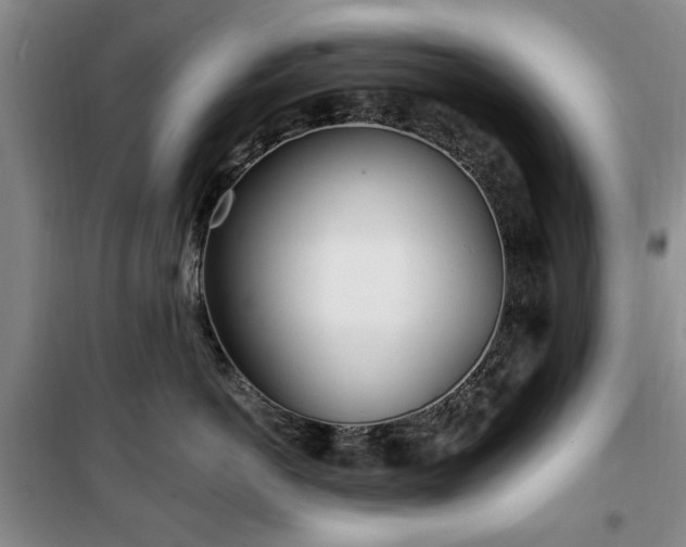 X0000100470766200806131127