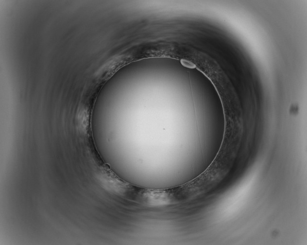 X0000100470767200806131127