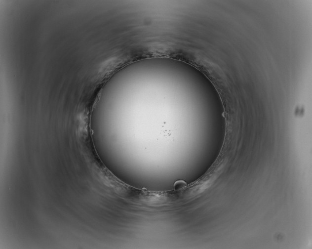 X0000100470768200806131127