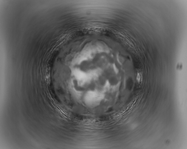 X0000100470771200806131126