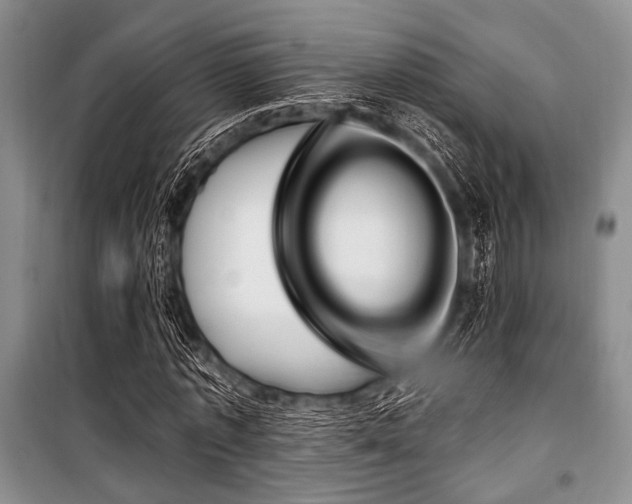 X0000100470773200806131126