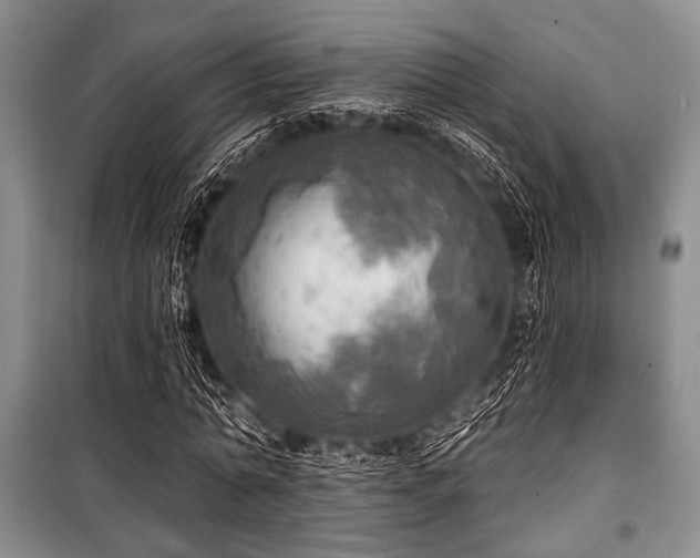 X0000100470774200806131126