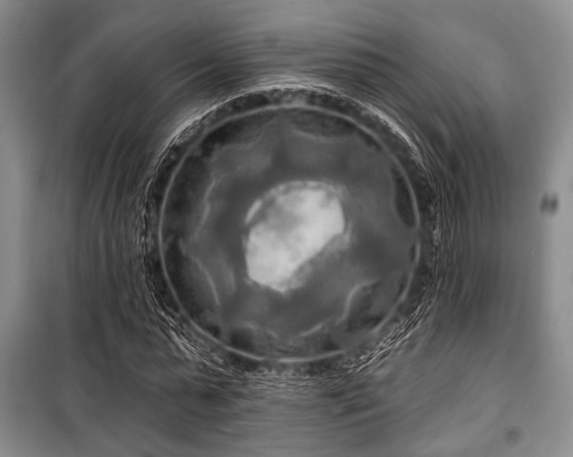 X0000100470775200806131126