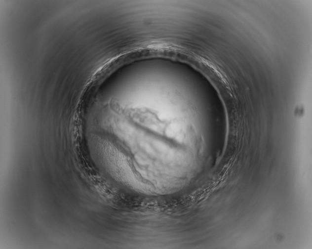 X0000100470776200806131126