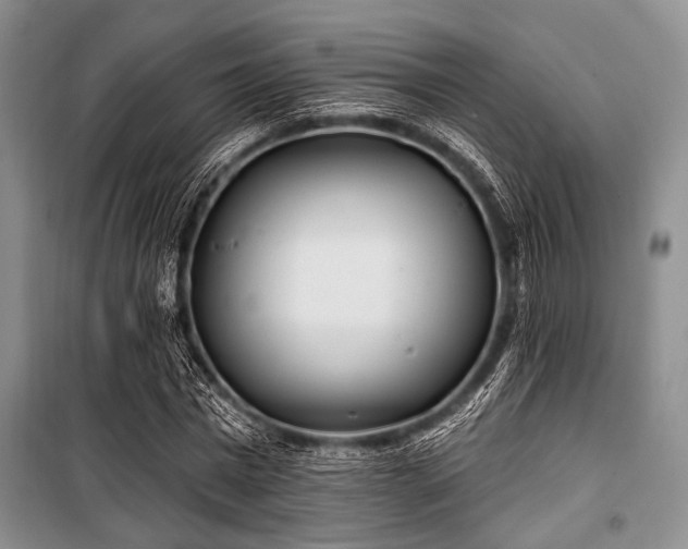 X0000100470777200806131126