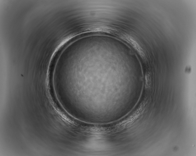 X0000100470780200806131126