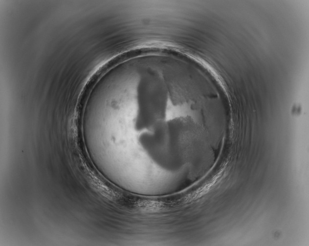 X0000100470783200806131126