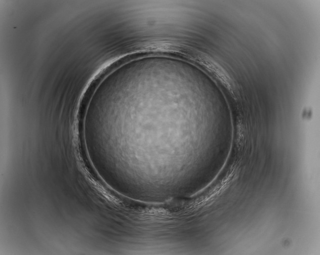 X0000100470784200806131126