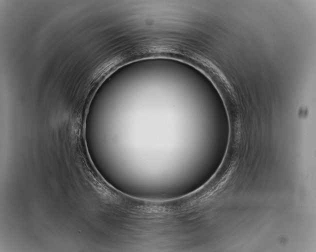 X0000100470785200806131126