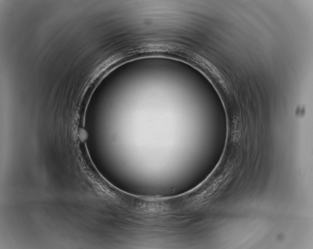 X0000100470786200806131126