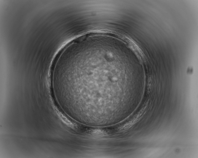 X0000100470787200806131126