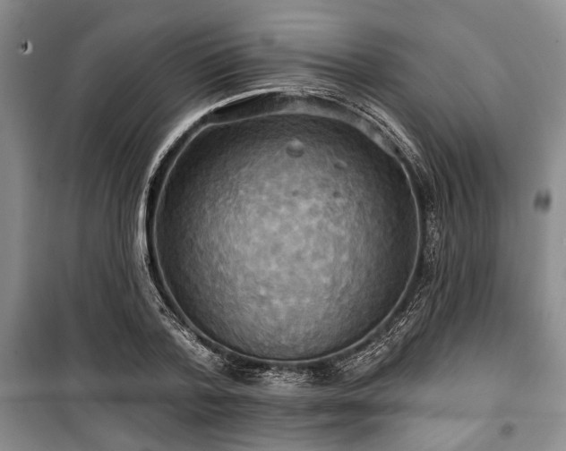 X0000100470788200806131126