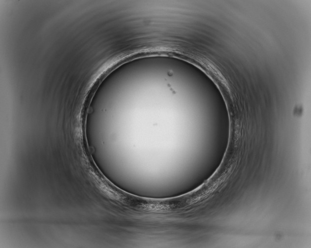 X0000100470789200806131126