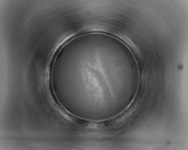 X0000100470790200806131126