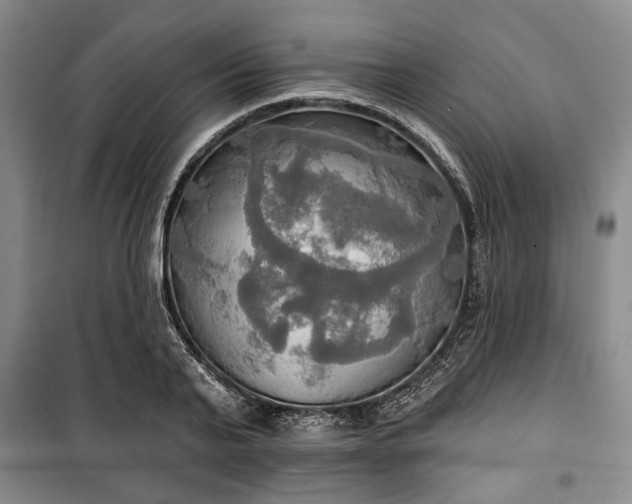 X0000100470791200806131126