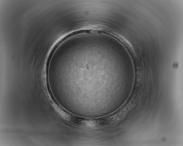 X0000100470792200806131126