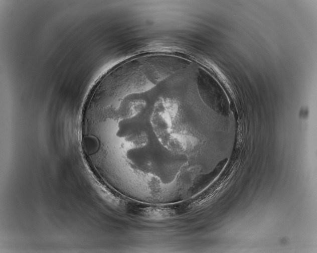 X0000100470795200806131126