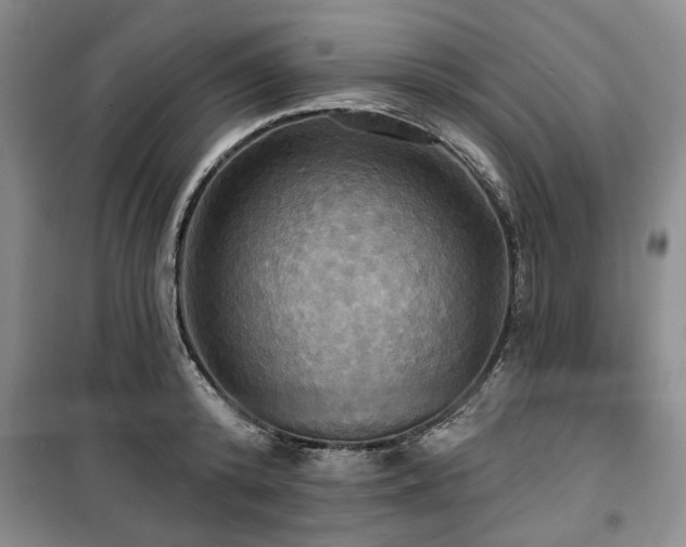 X0000100470800200806131126