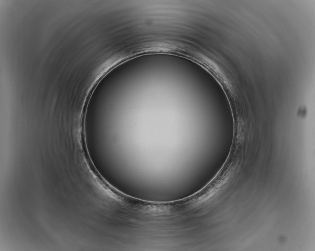 X0000100470802200806131126