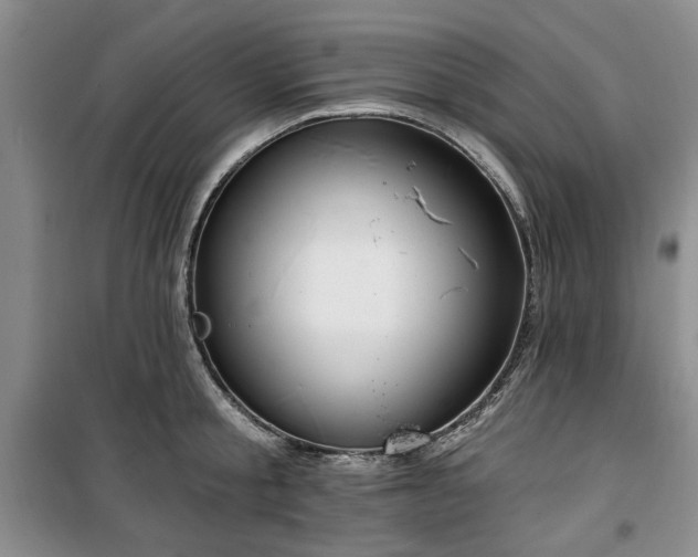 X0000100470805200806131126