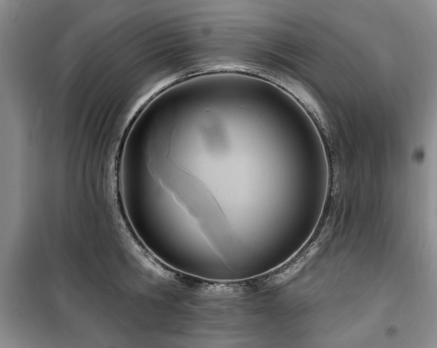 X0000100470806200806131126