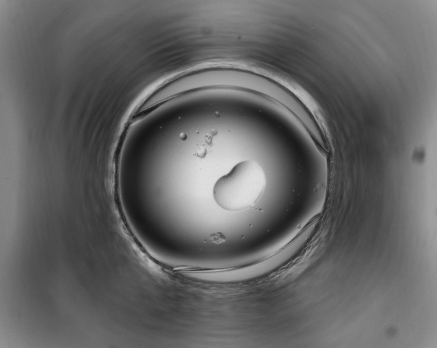 X0000100470807200806131126