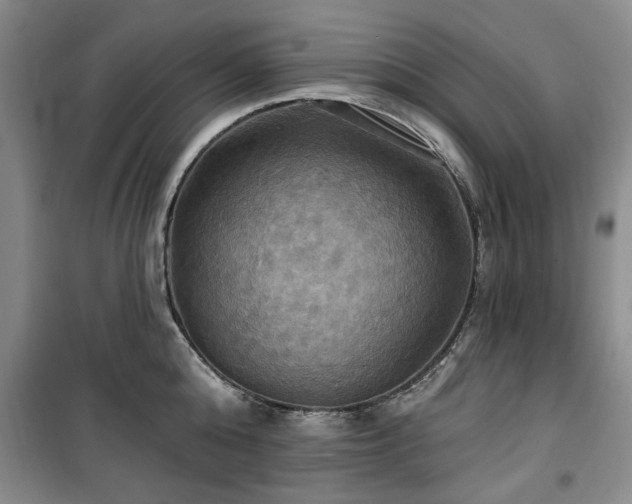 X0000100470808200806131126