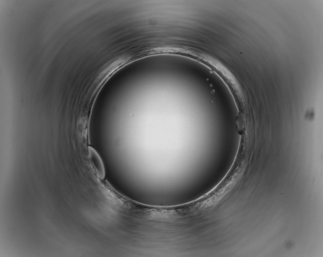 X0000100470809200806131126