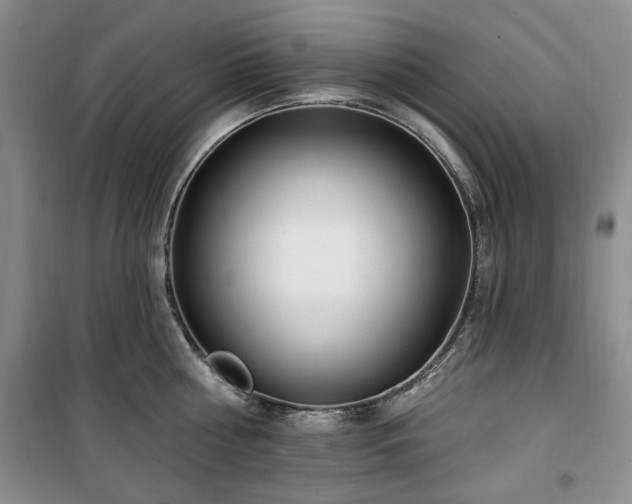 X0000100470810200806131126