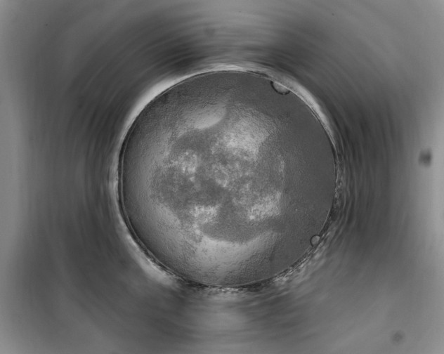 X0000100470811200806131126