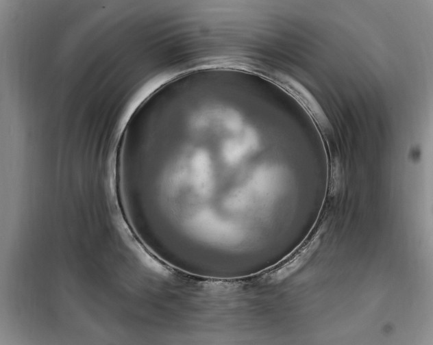 X0000100470812200806131126