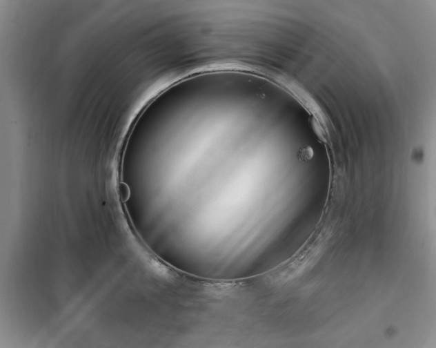 X0000100470813200806131126