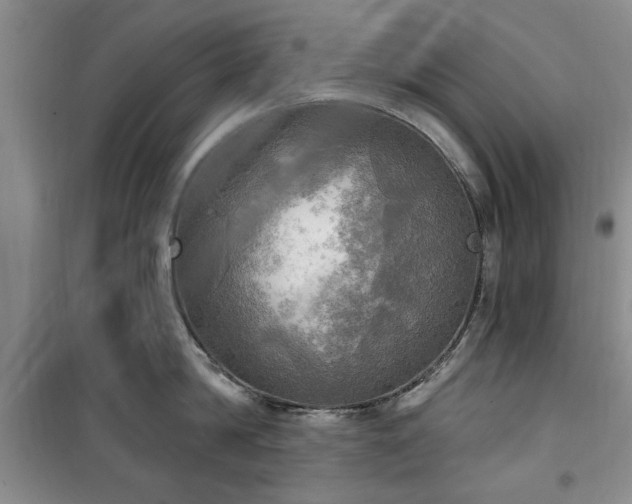 X0000100470814200806131126