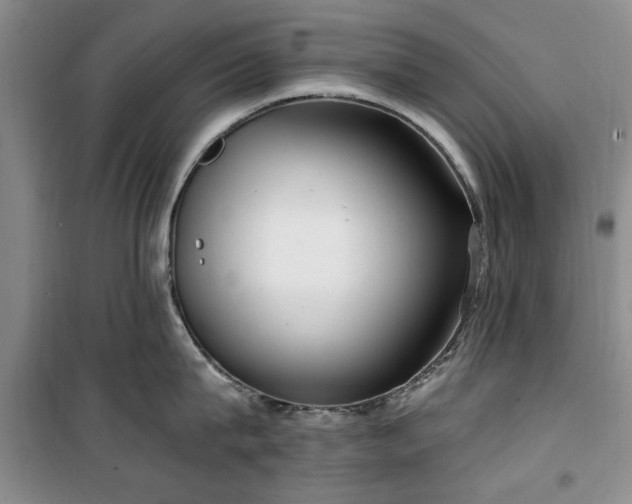 X0000100470815200806131126