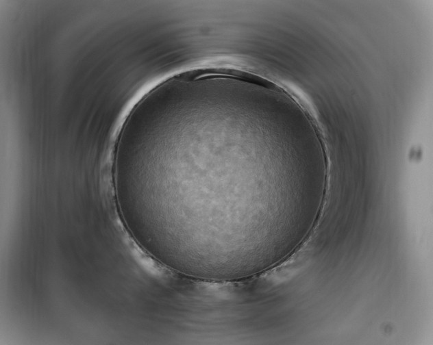 X0000100470816200806131126