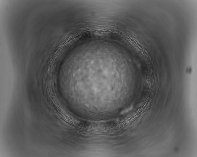 X0000100470817200806131125