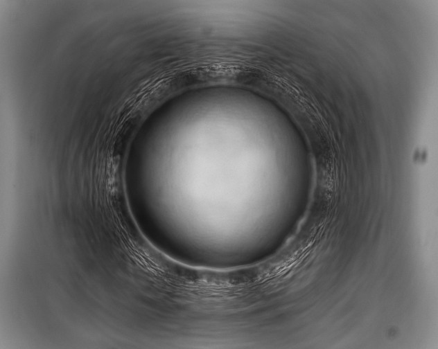 X0000100470818200806131125