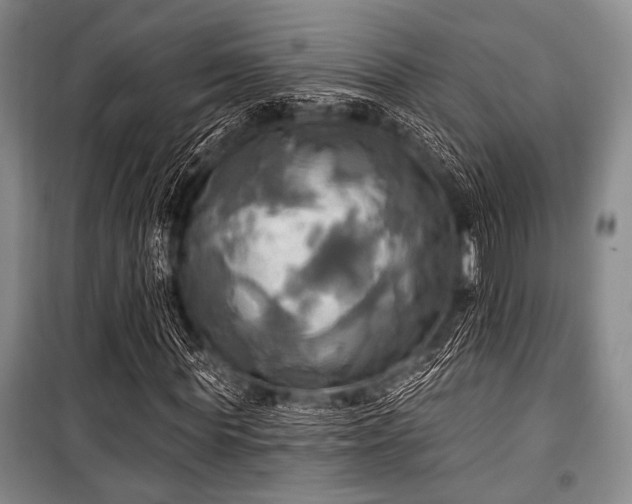 X0000100470819200806131125