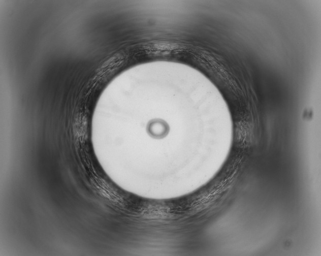 X0000100470820200806131125