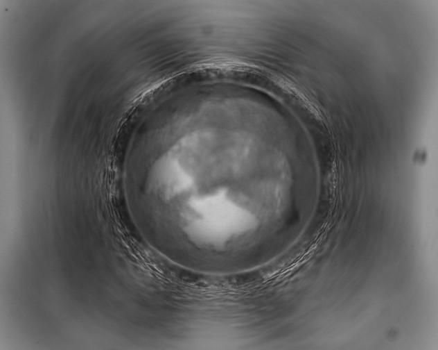 X0000100470822200806131125