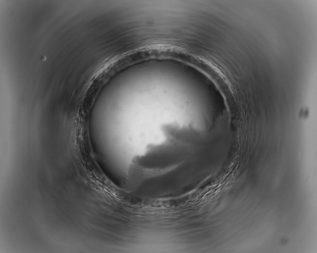 X0000100470823200806131125