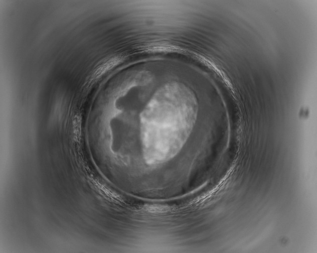 X0000100470825200806131125