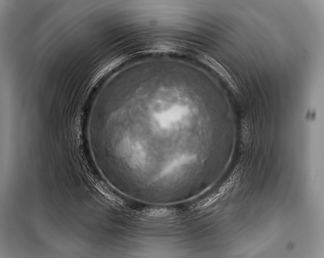 X0000100470826200806131125