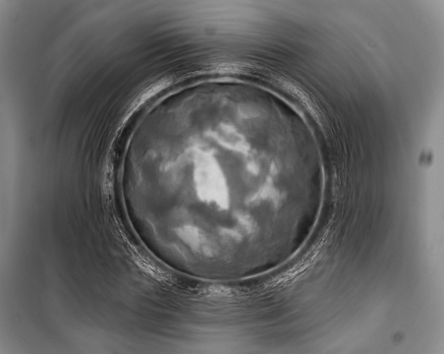 X0000100470827200806131125