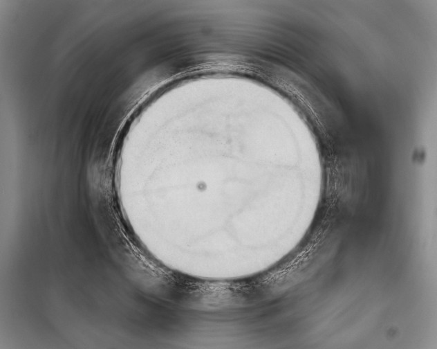 X0000100470828200806131125