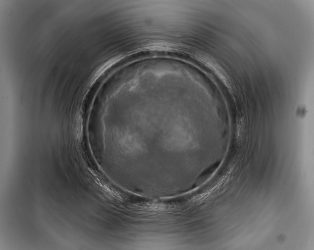 X0000100470829200806131125