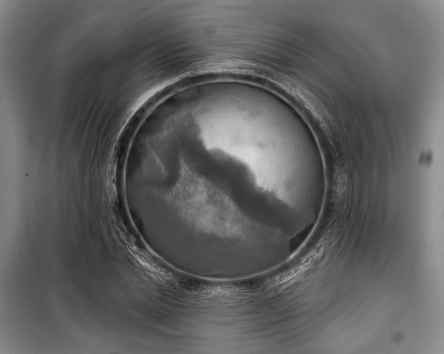 X0000100470830200806131125