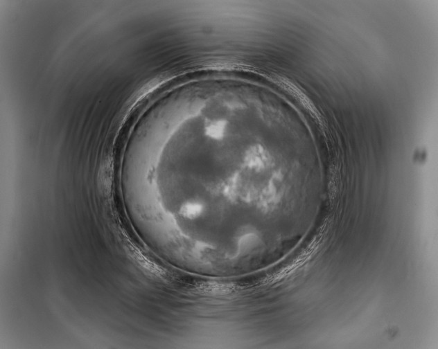 X0000100470831200806131125