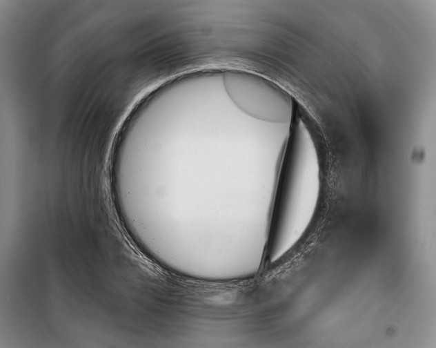 X0000100470832200806131125