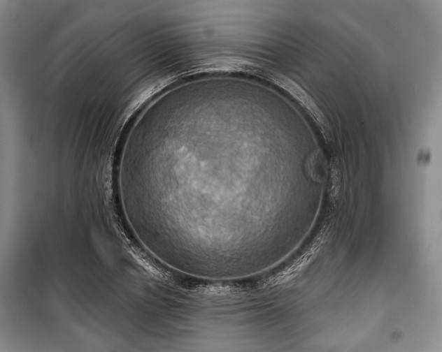 X0000100470834200806131125